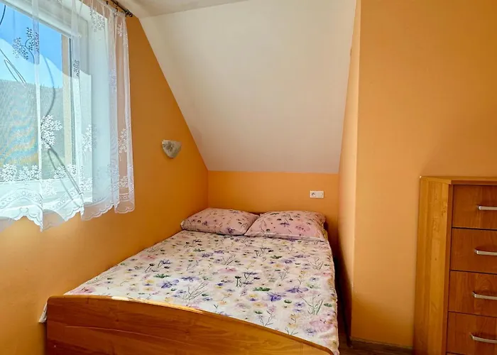 Letniskowe Konik 1 *